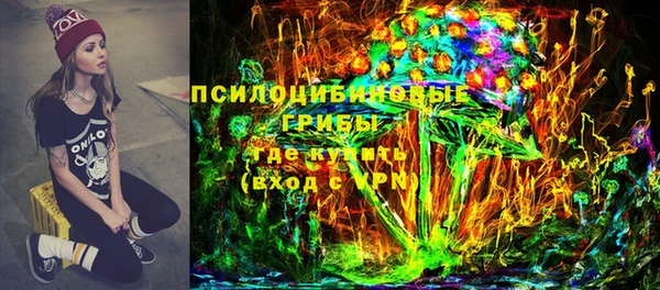 дмт Горно-Алтайск