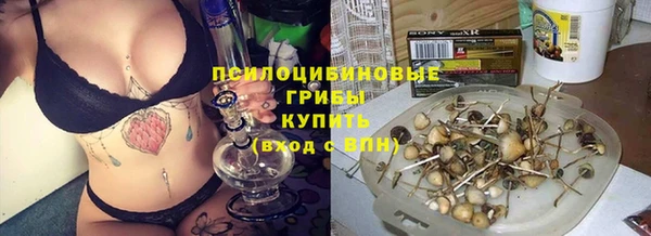 apvp Гусев