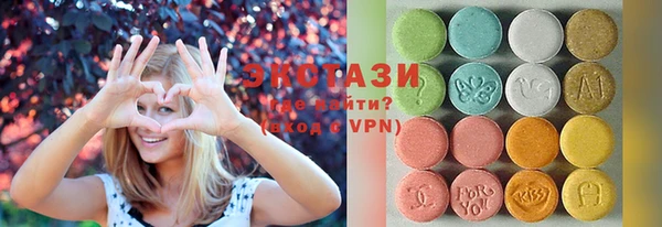 индика Тихвин